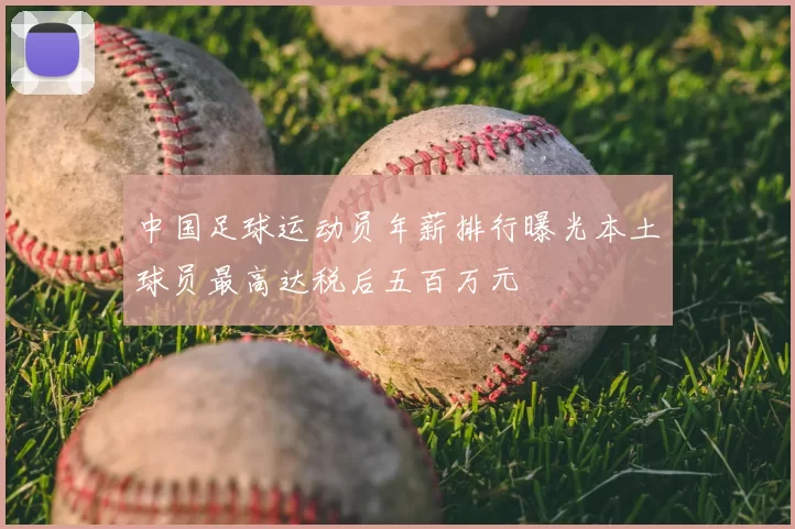 中国足球运动员年薪排行曝光本土球员最高达税后五百万元