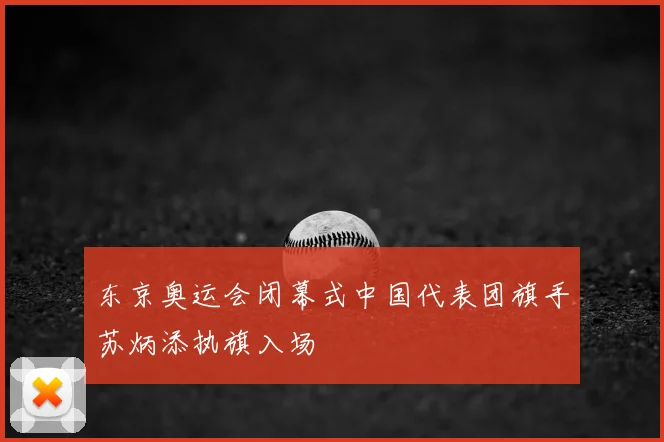 东京奥运会闭幕式中国代表团旗手苏炳添执旗入场